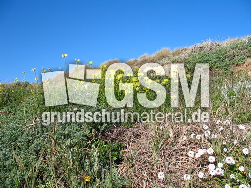 Spanien Andalusien Marbella 014.JPG